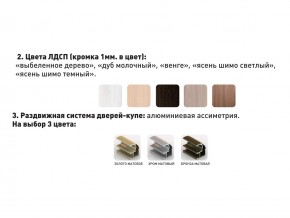 Шкаф-купе Акцент-Сим Д 1000-600 шимо светлый в Лянторе - lyantor.magazinmebel.ru | фото - изображение 3