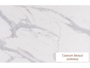 Столешница Гранит белый глянец 26 мм в Лянторе - lyantor.magazinmebel.ru | фото - изображение 1
